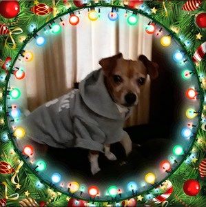 Meet your Posher, Gina